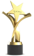 award_1_1